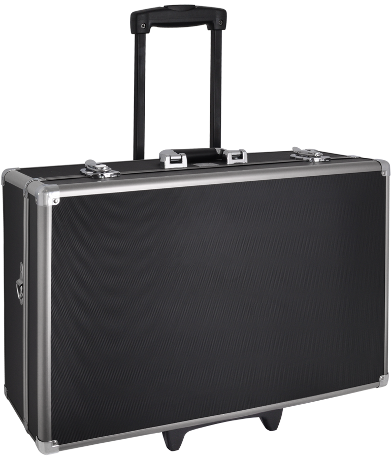 Professional Large Hard Case